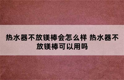 热水器不放镁棒会怎么样 热水器不放镁棒可以用吗